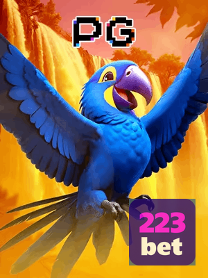 223BET bônus — cashback 15 por cento e níveis VIP